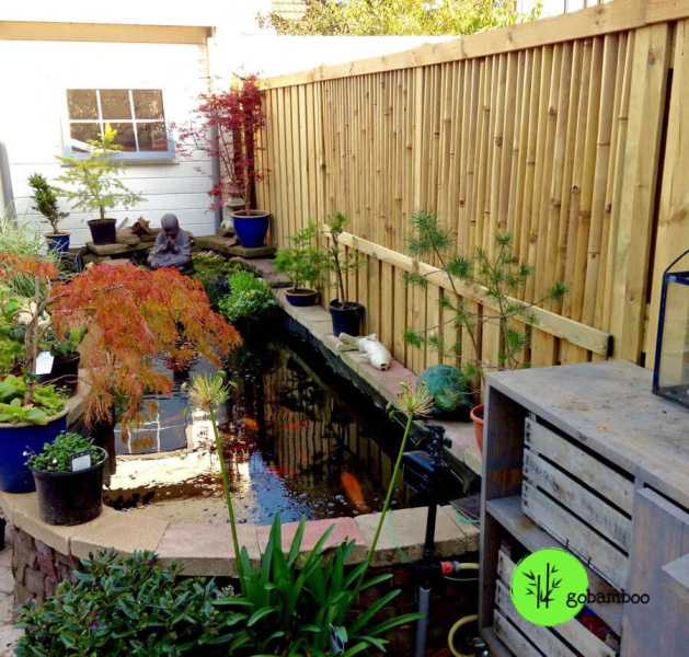 inspirace bambusový plot